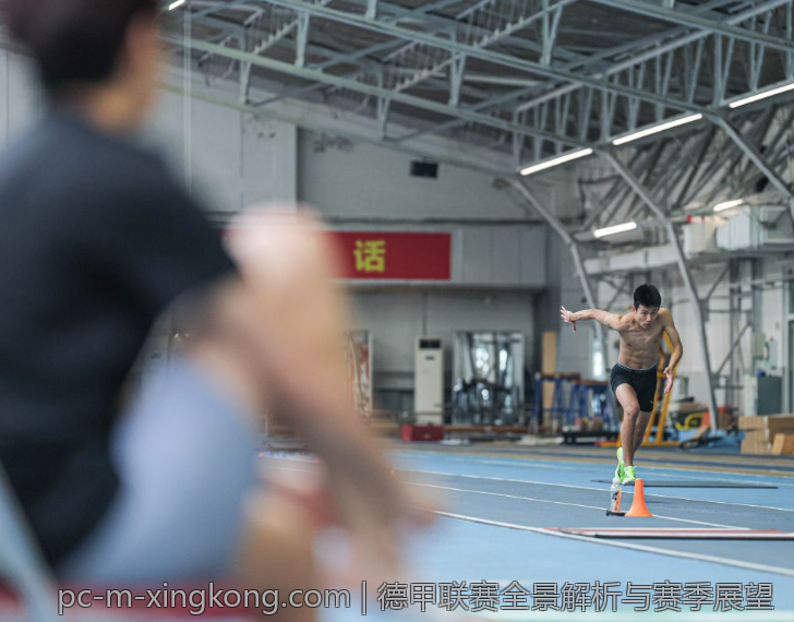 德甲联赛全景解析与赛季展望