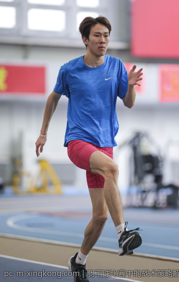 羽毛球比赛中的战术策略解析