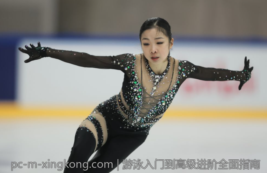 游泳入门到高级进阶全面指南