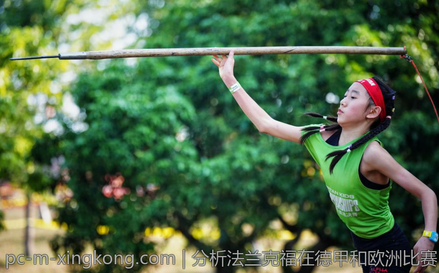 分析法兰克福在德甲和欧洲比赛中的双线作战策略